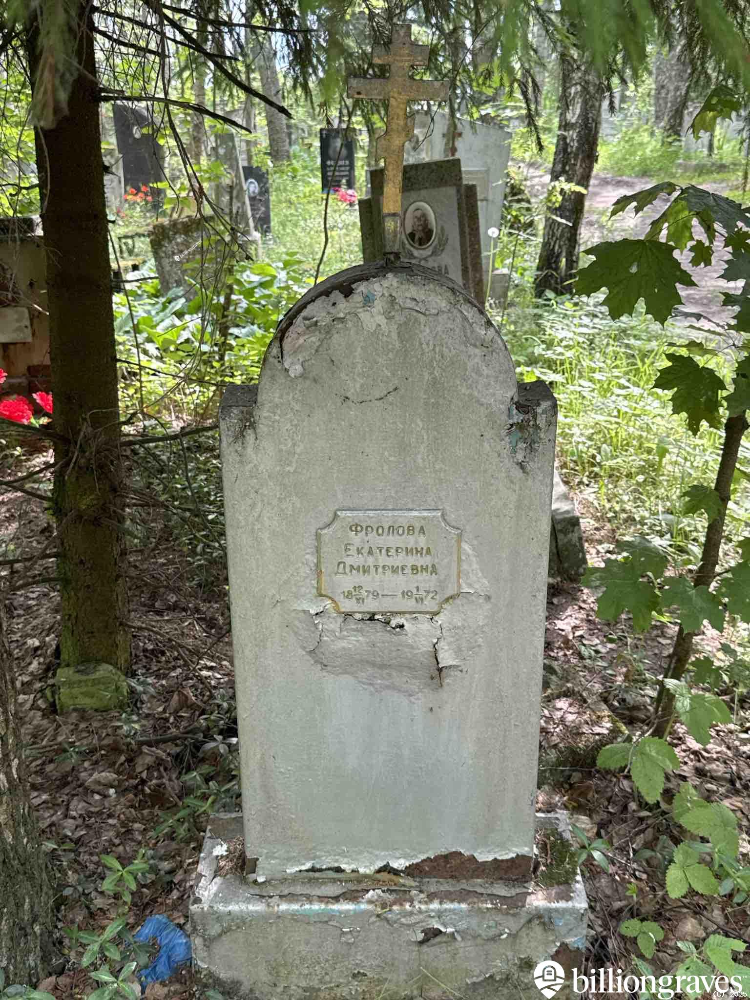 Фролова Екатерина Дмитриевна
