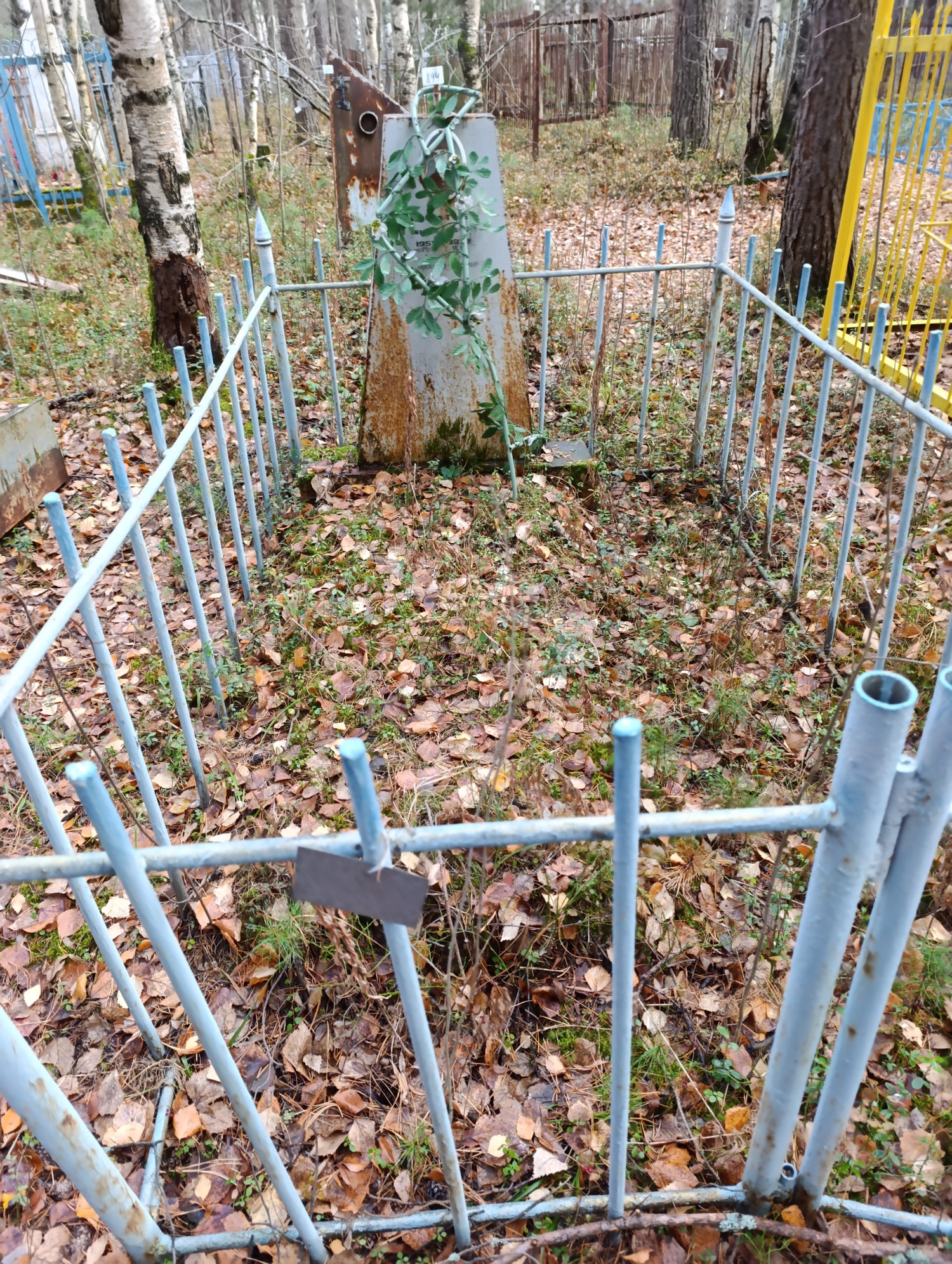 Игнатьев Николай Павлович