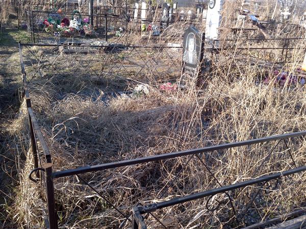 Конькова Елизавета Николаевна