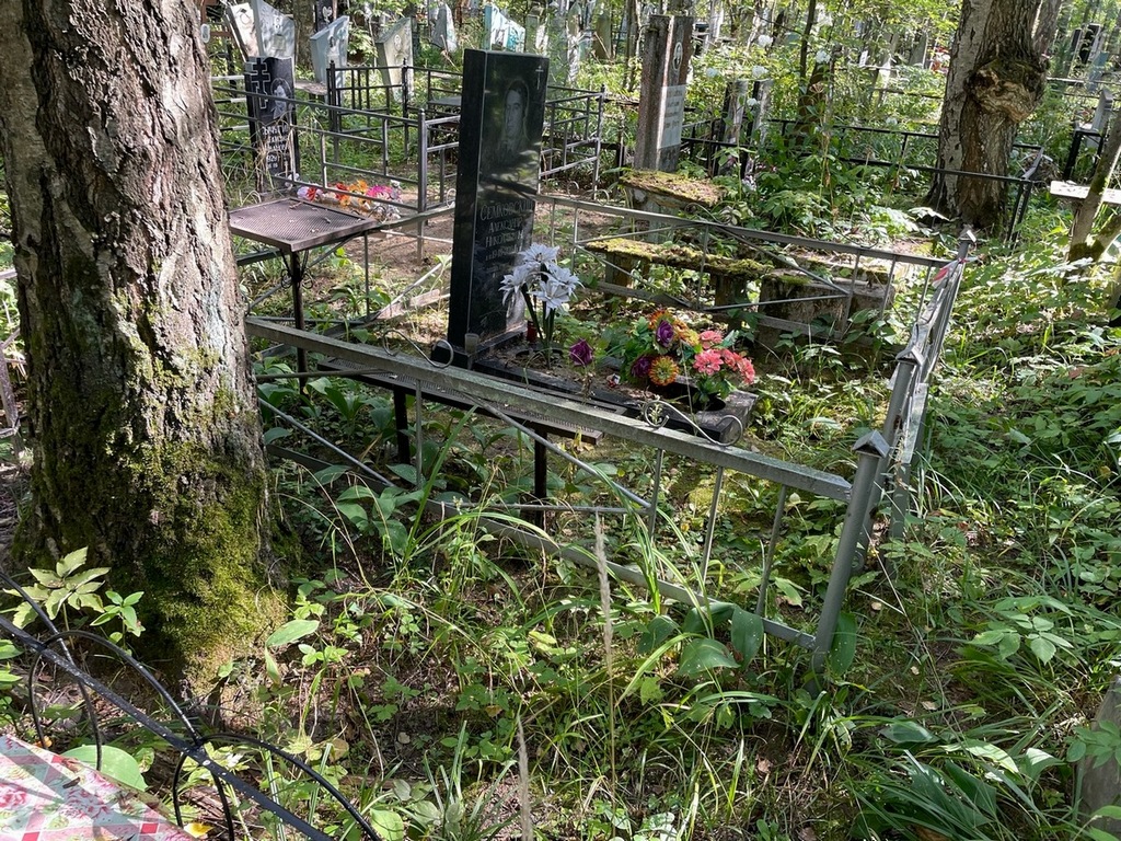 Семковский Александр Николаевич