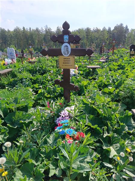 Юренков Анатолий Яковлевич