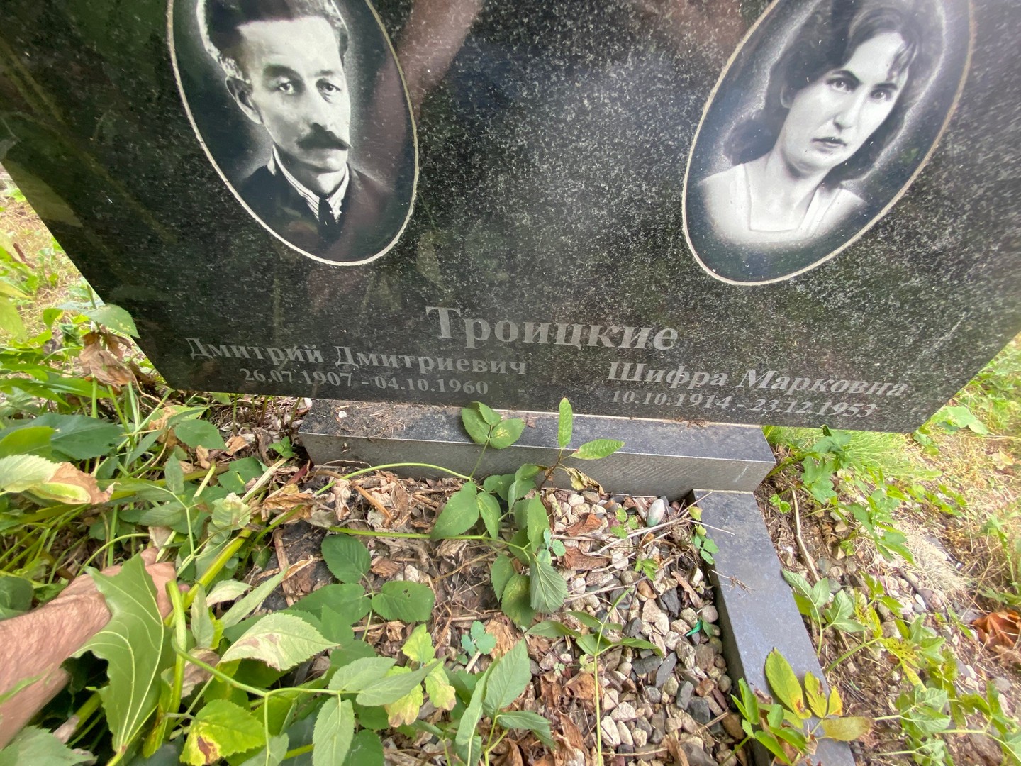 Троицкий