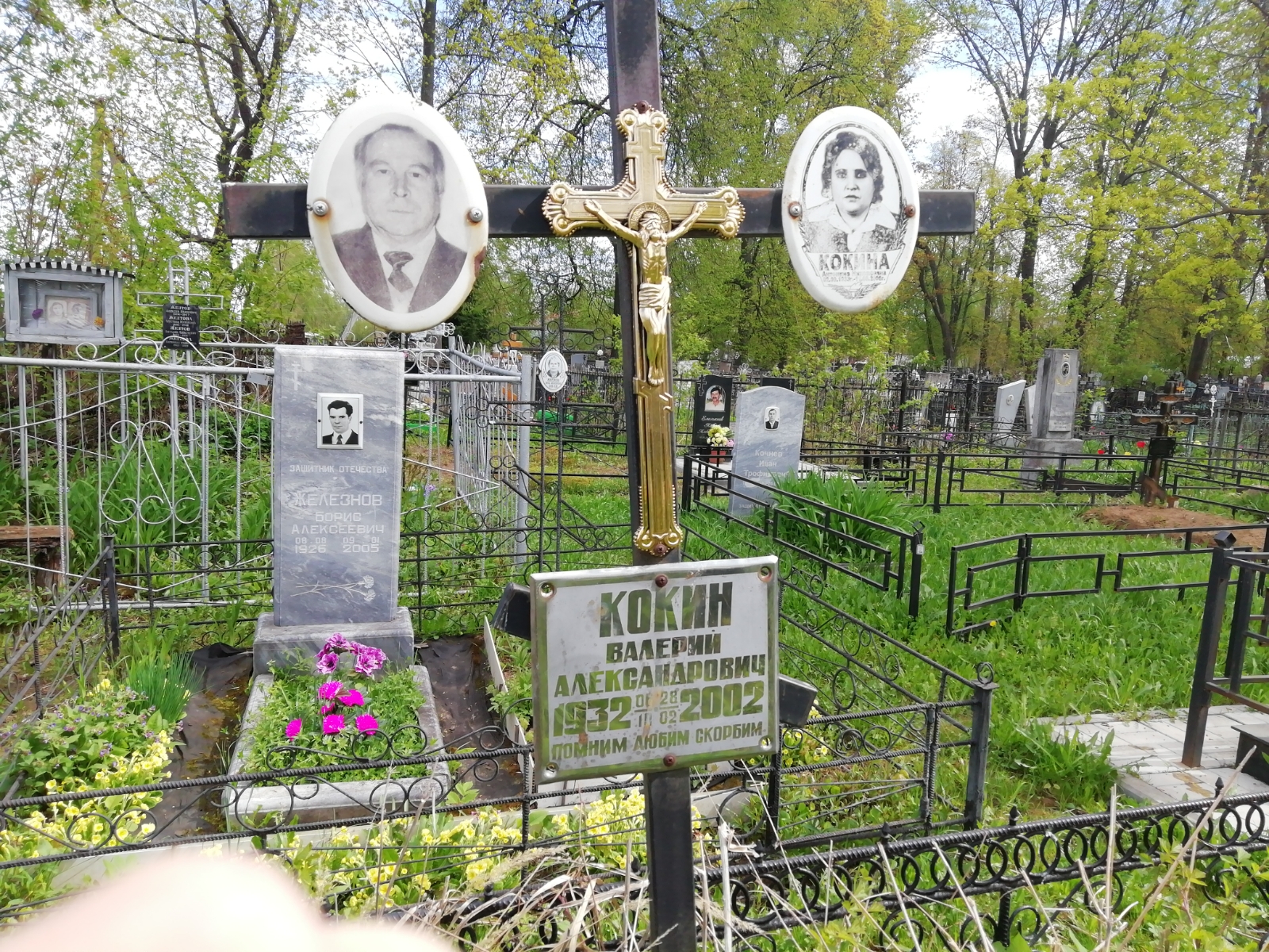 Кокина Антонина Николаевна
