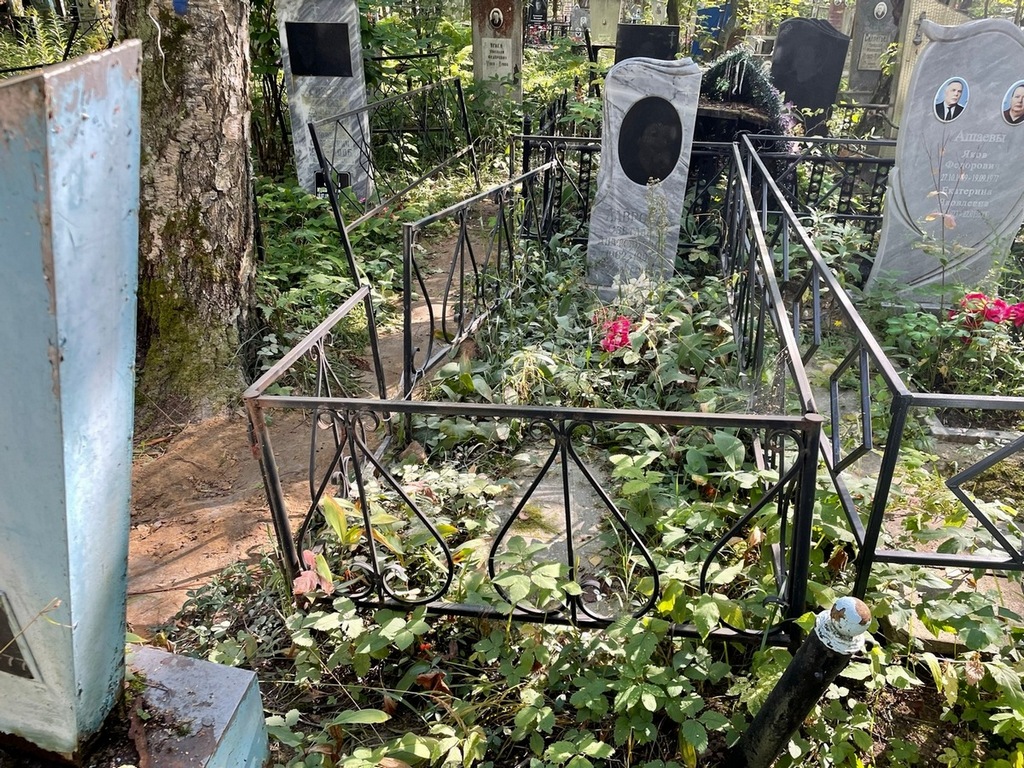 Лаврова Светлана Анатольевна