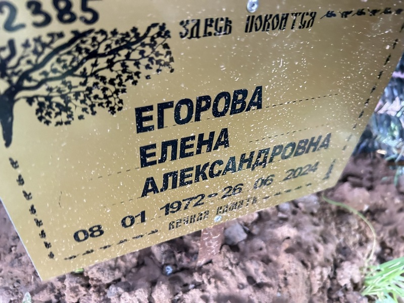 Егорова