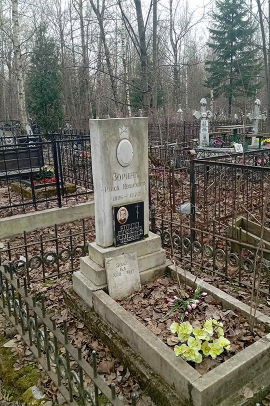 Зорин В. А.