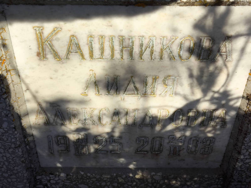 Кашникова