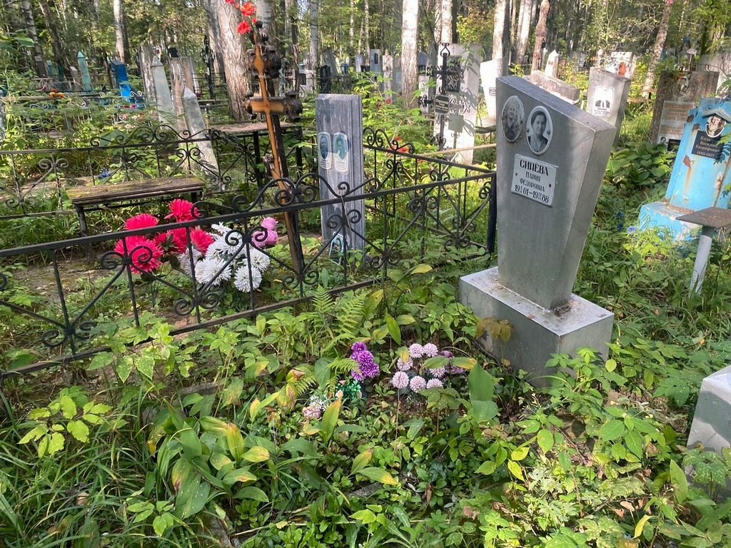 Синева Мария Федоровна