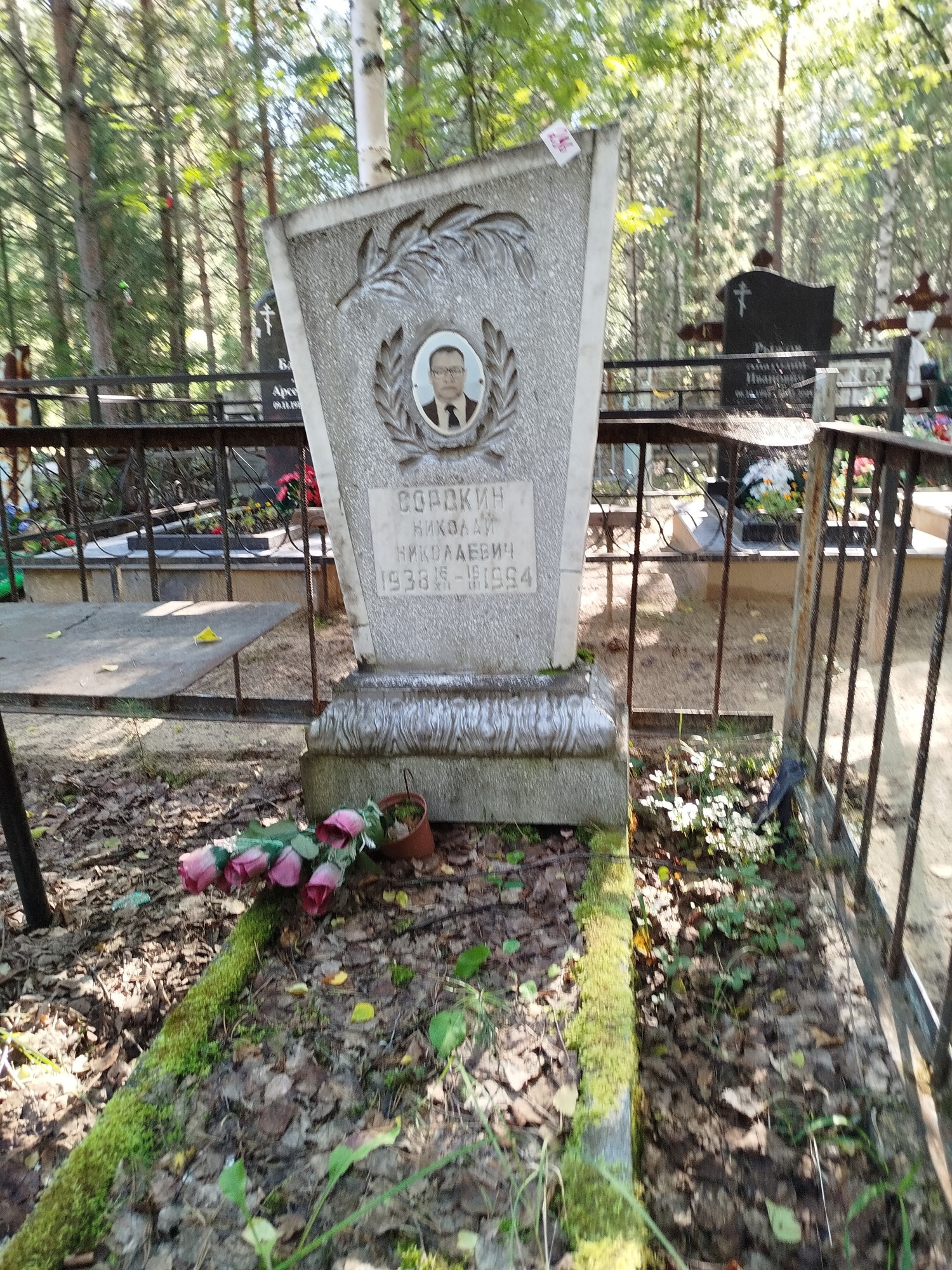 Сорокин Николай Николаевич