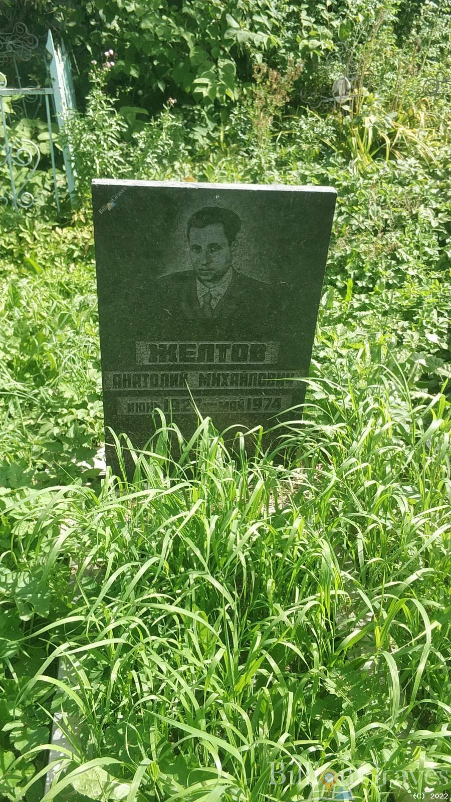 Желтова Дина Васильевна