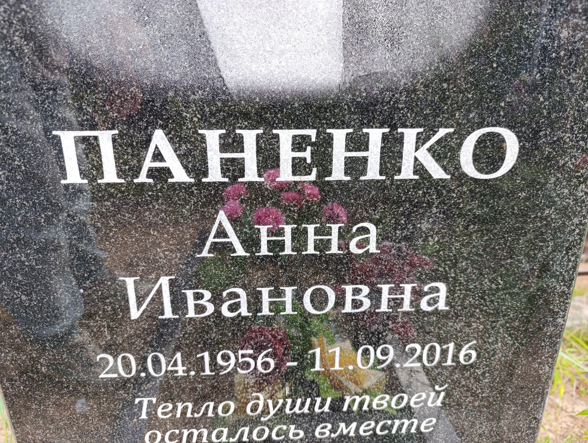 Паненко Анна Ивановна