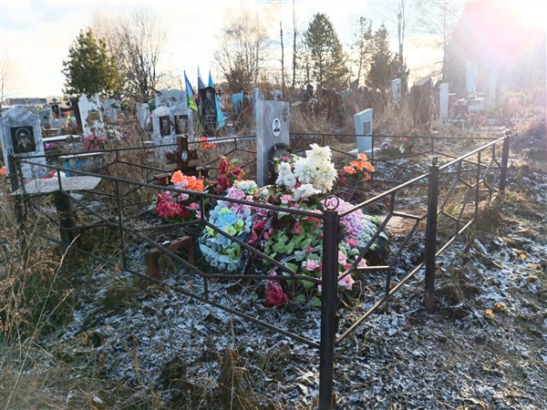 Заднишевских Алевтина Анатольевна