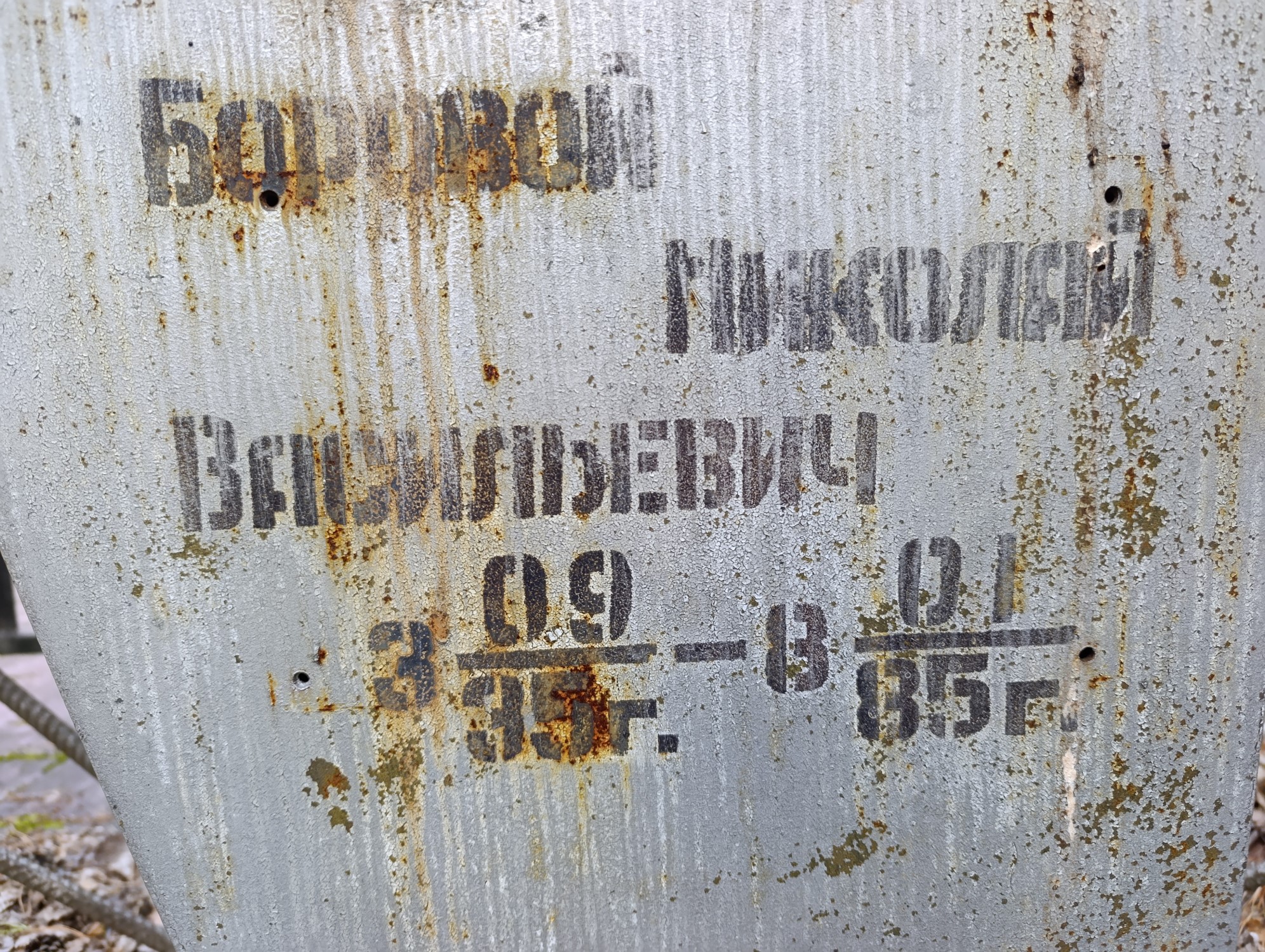 Боровой Николай Васильевич