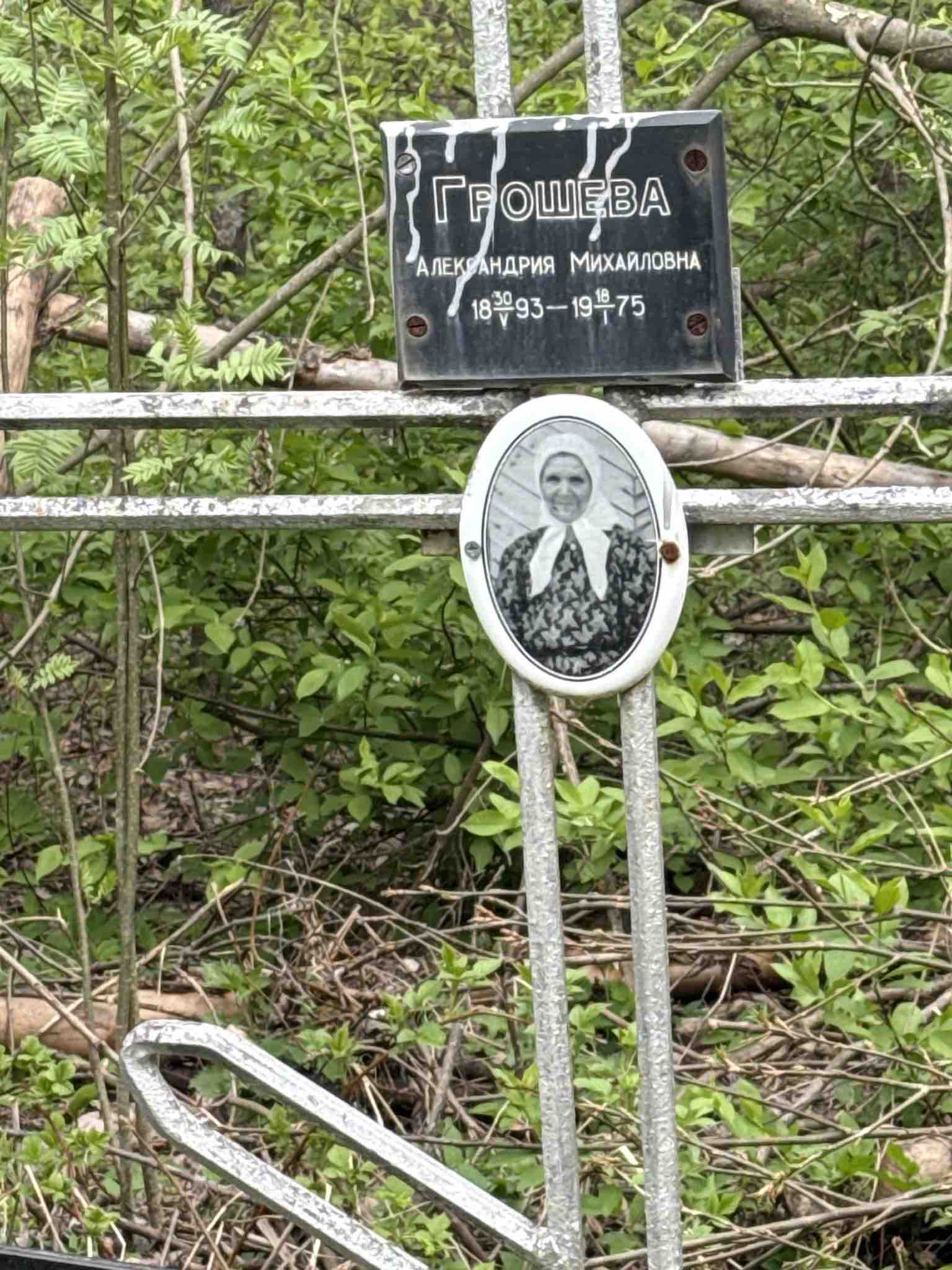 Грошева Александрия Михайловна
