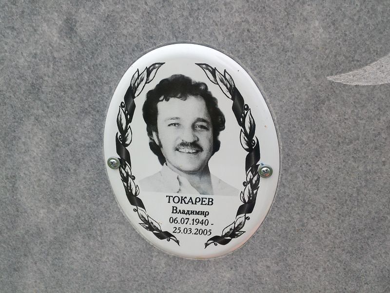 Токарев Токарев