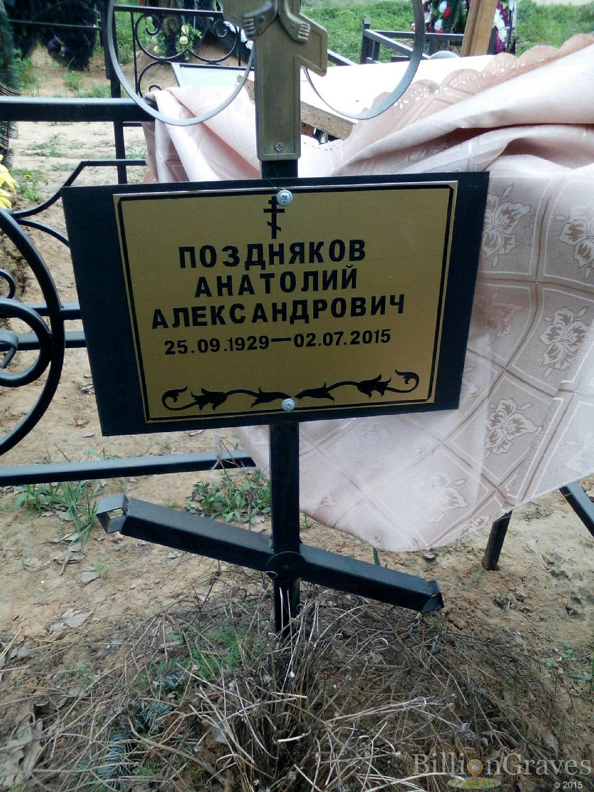 поздняков анатолий александрович