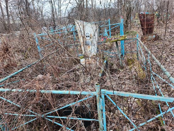 Чулошникова Таисья Степановна