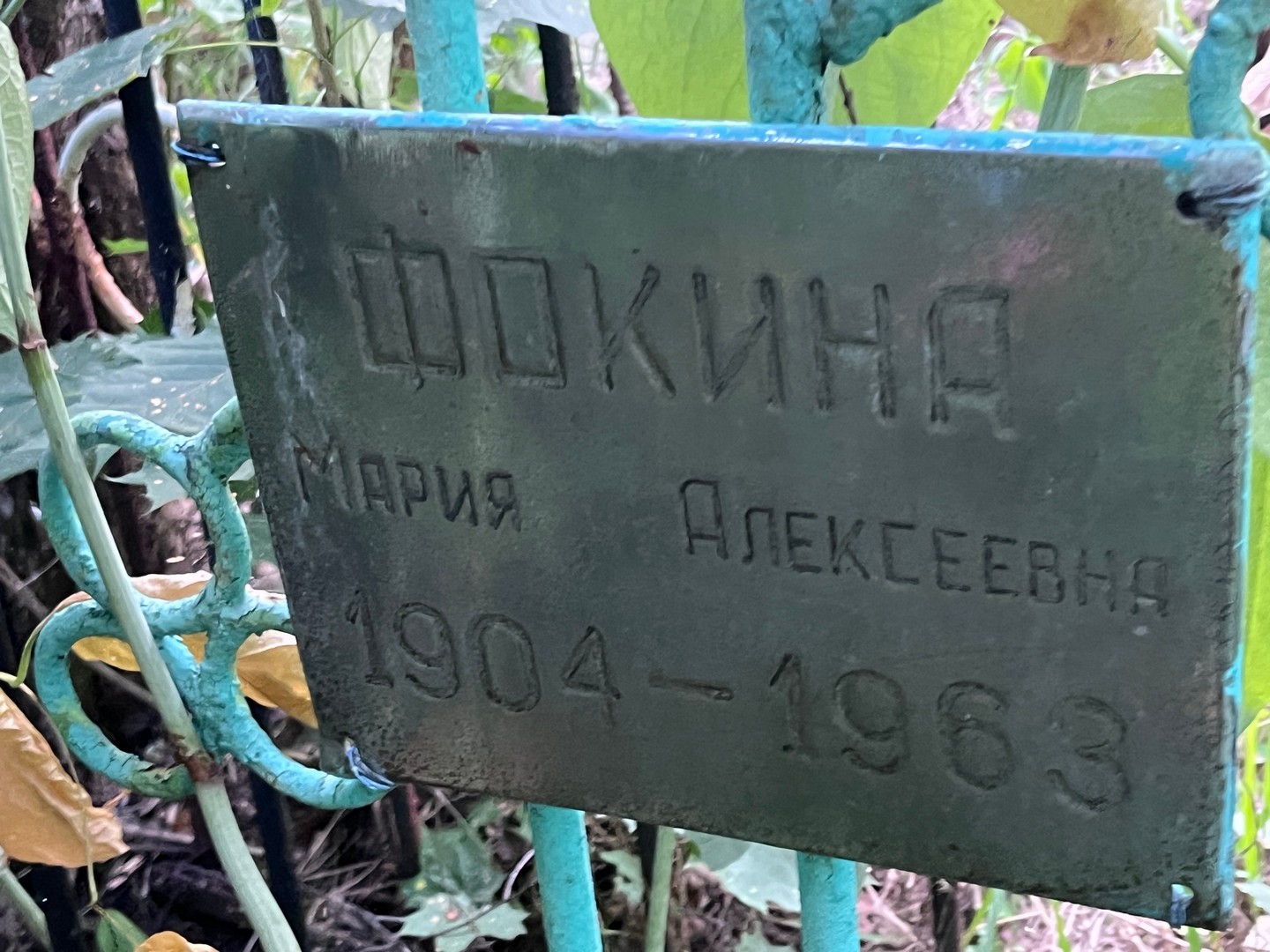 Фокина
