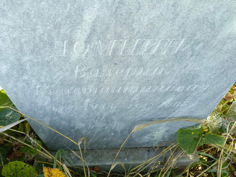 Домнин