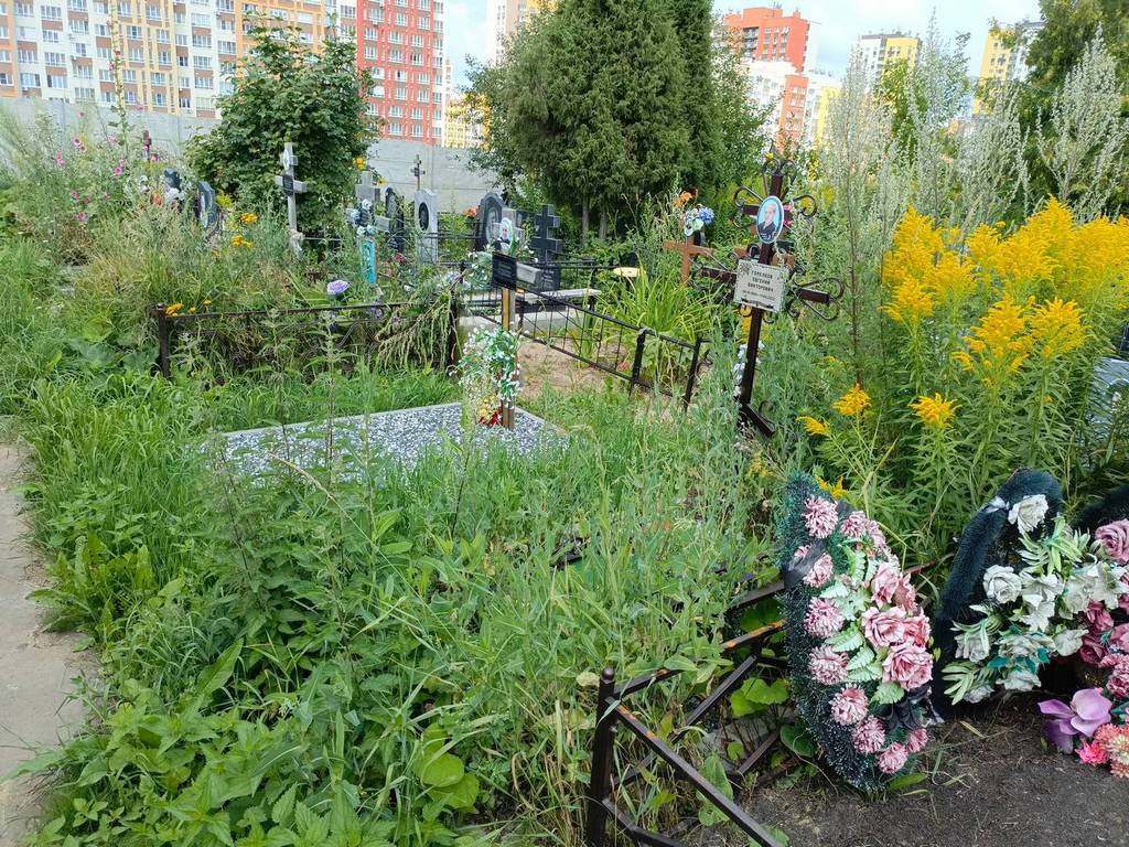 Горелков Евгений Викторович