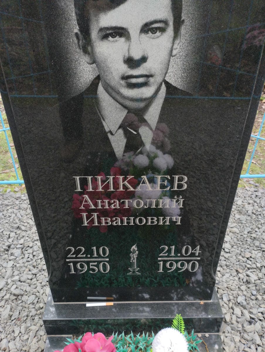 Пикаев Анатолий Иванович