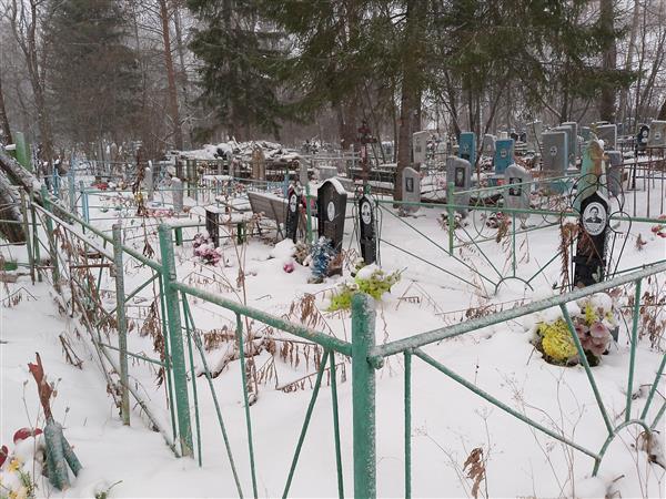 Камышина Наталья Александровна