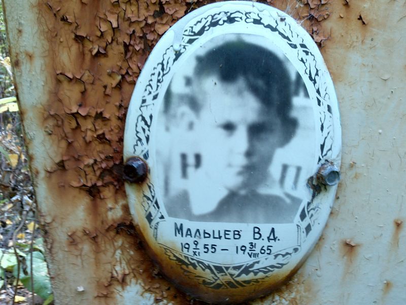 В Мальцев Д