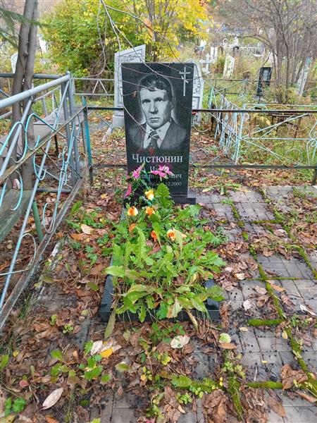Чистюнин Иван Владимирович