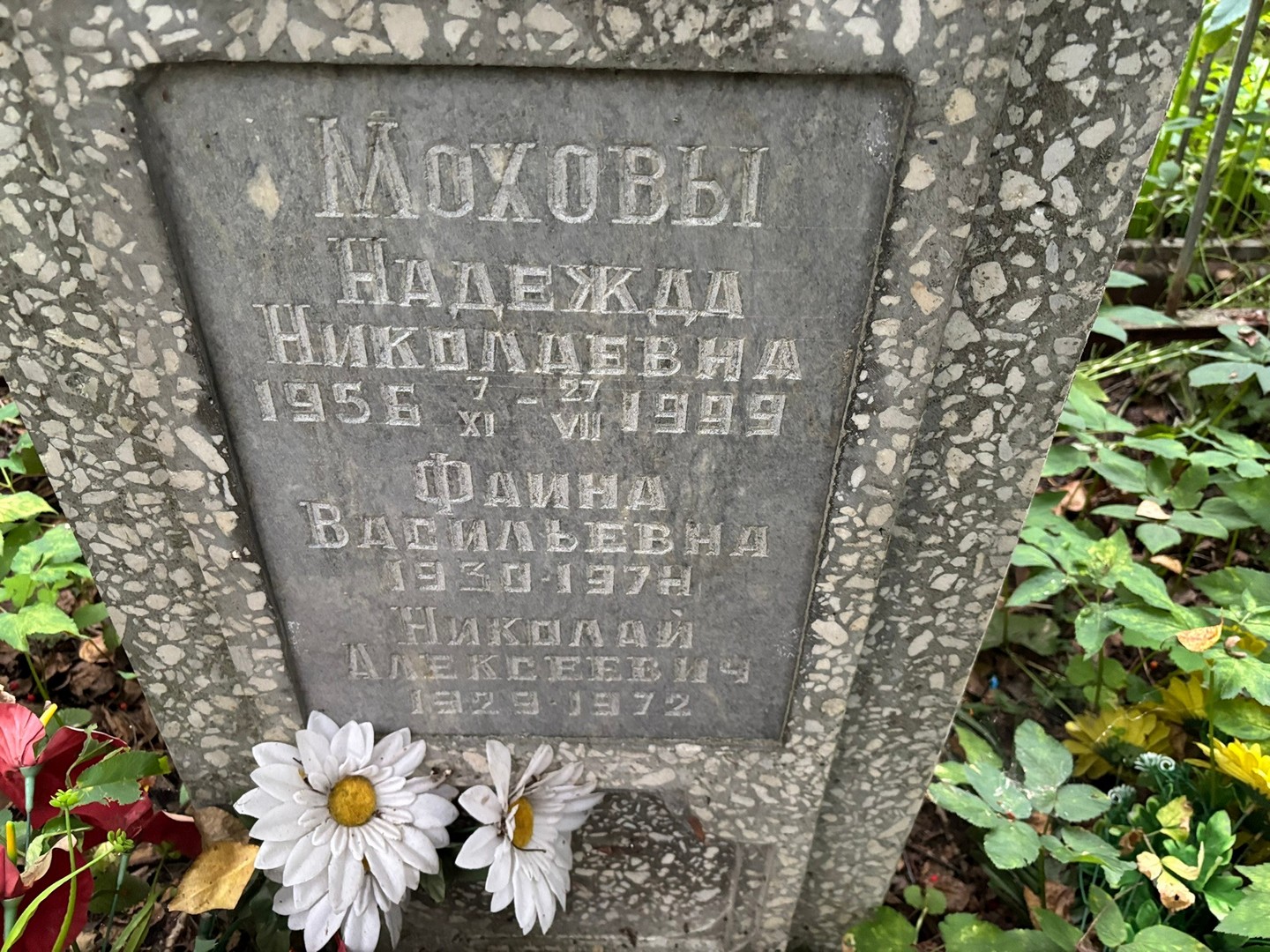 Мохова