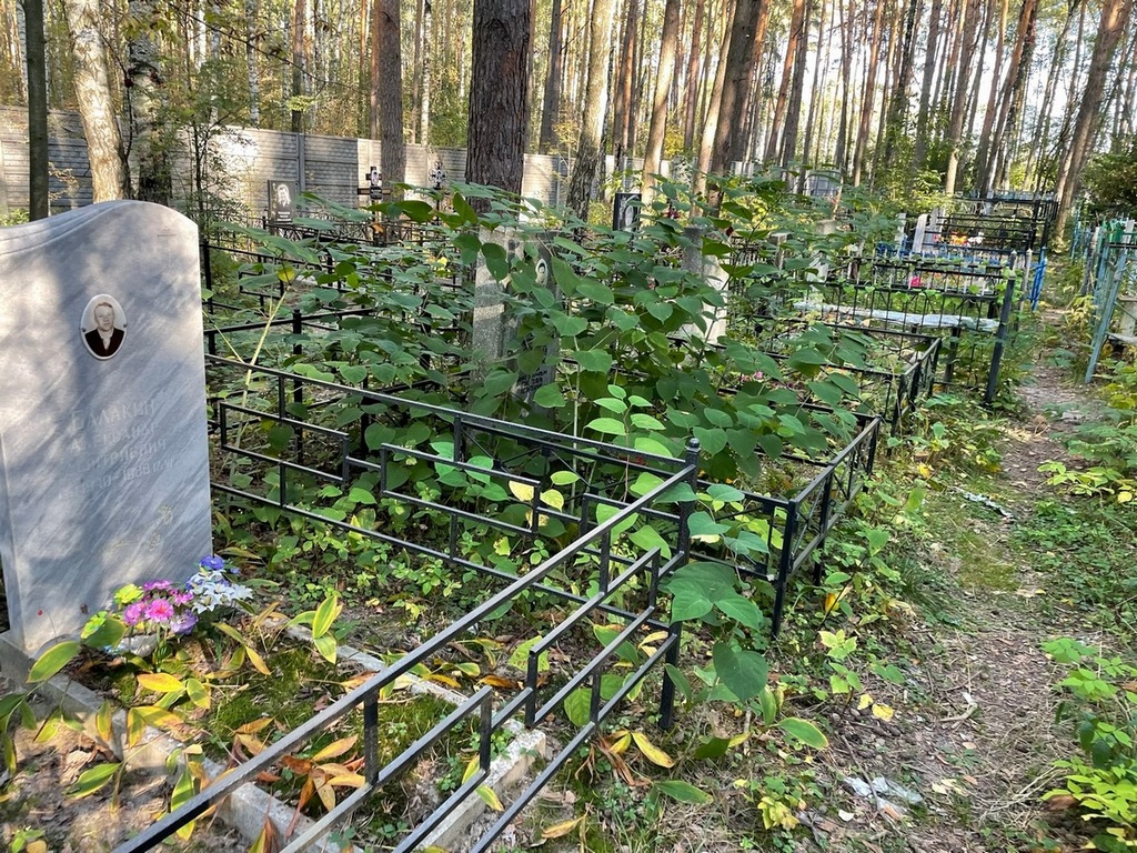 Лытова Вера Константиновна