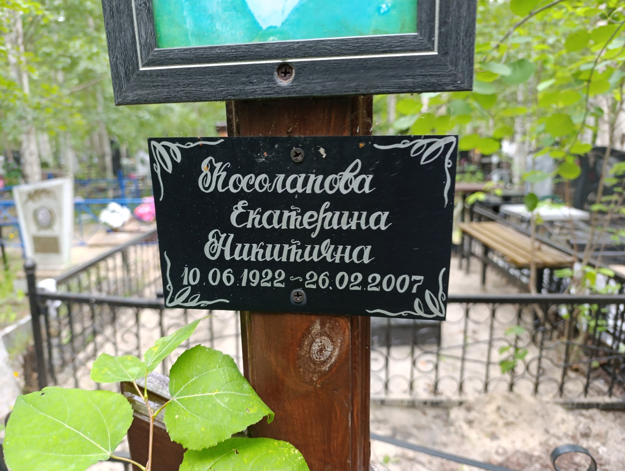 Косолапова Екатерина Никитична