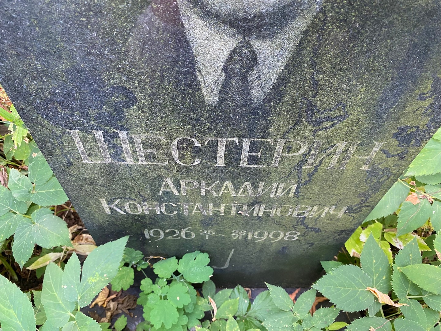 Шестерин