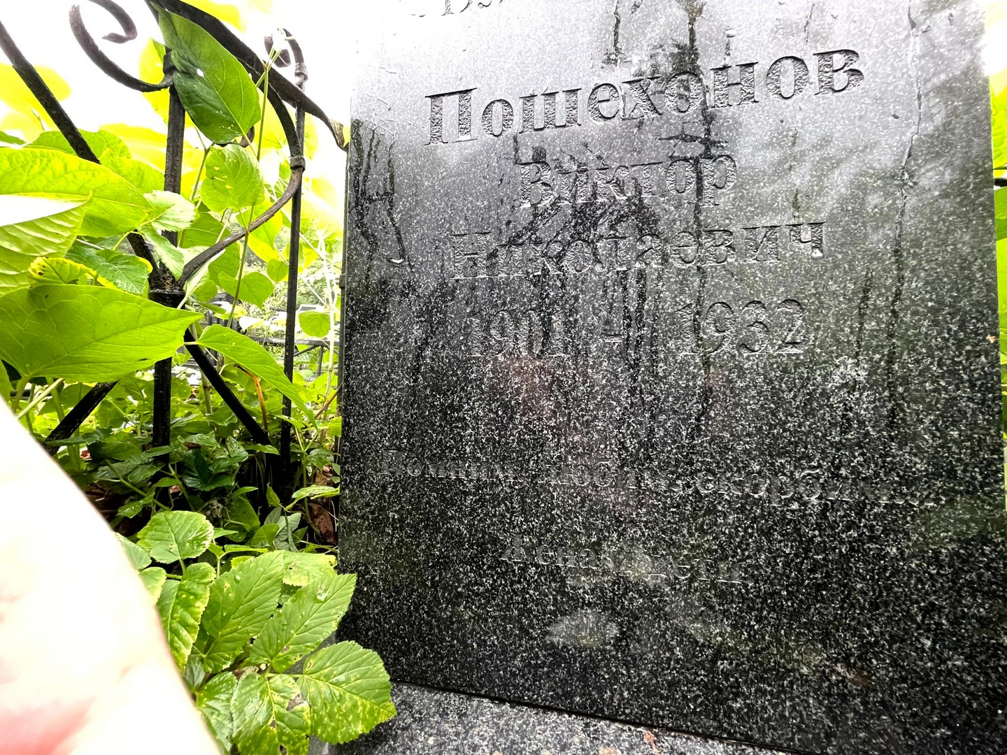 Пошехонов