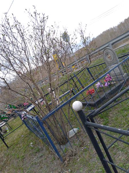 Ступаков Николай Александрович