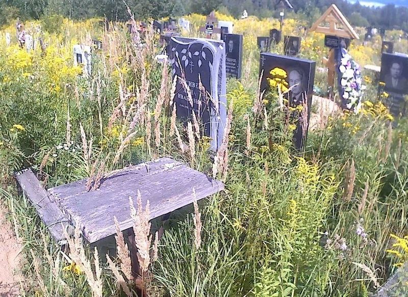 Носивец Лев Николаевич