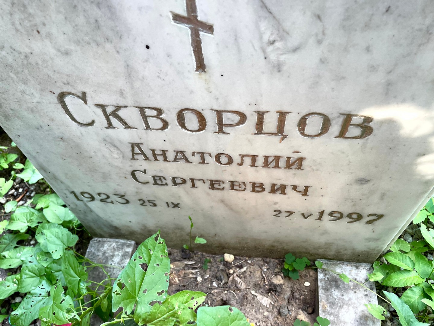 Скворцов