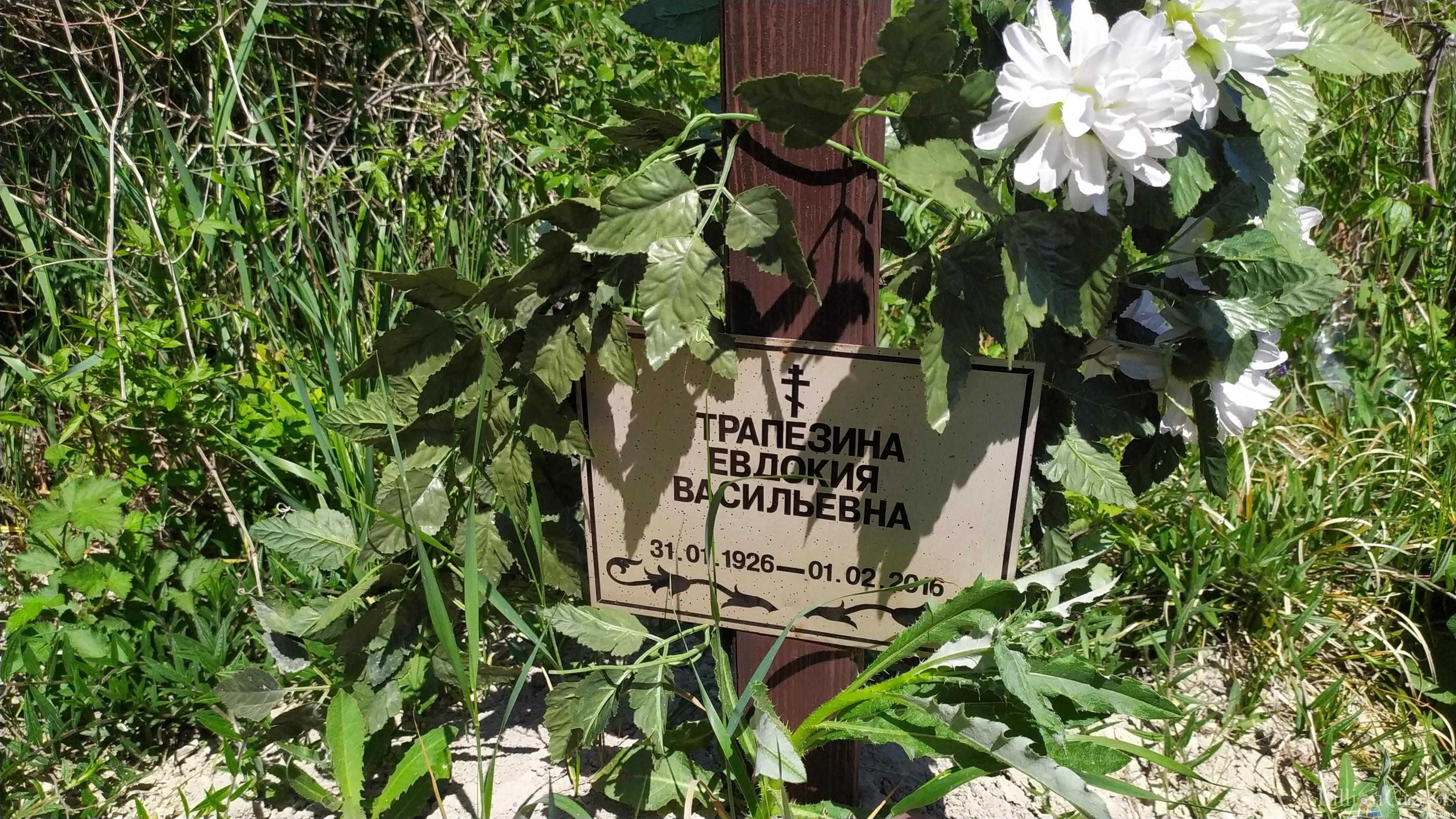Трапезина Евдокия Васильевна