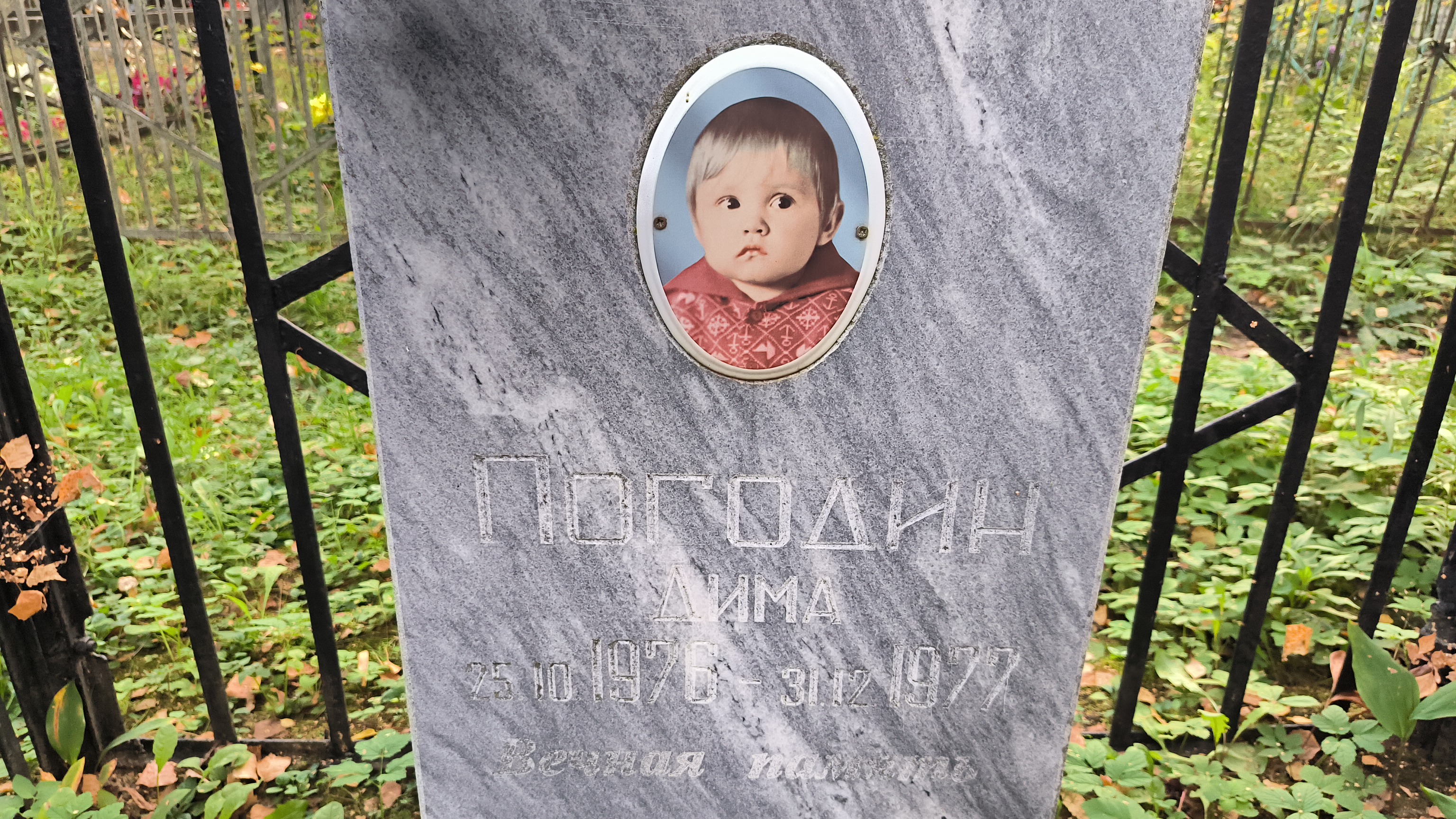 Погодин Дима