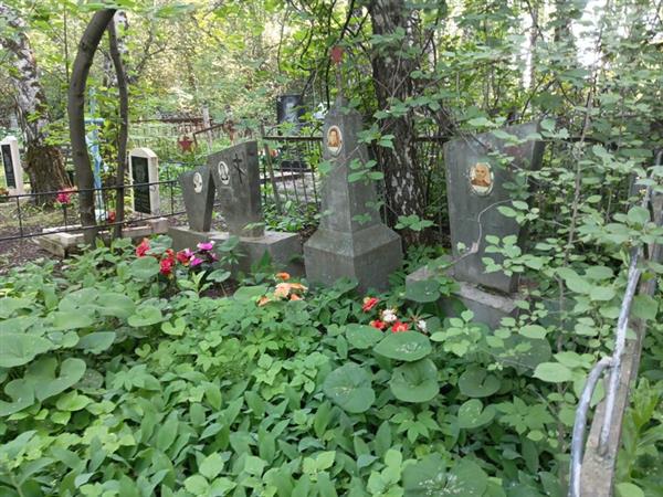 Грезина Александра Михайловна