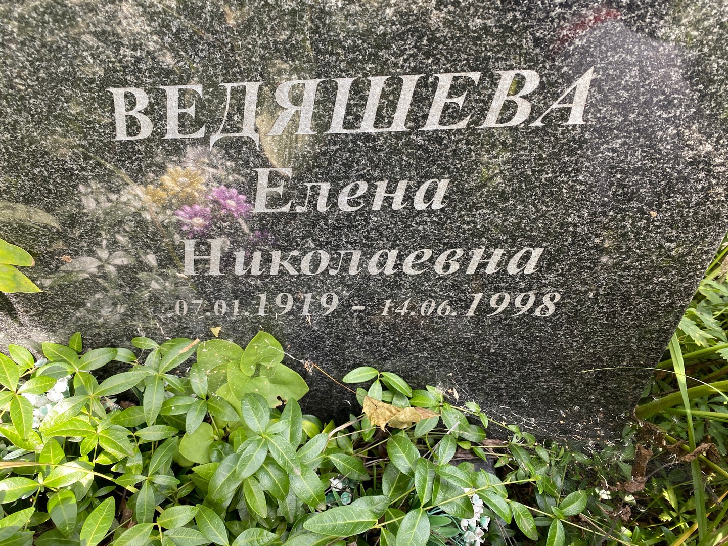 Ведяшева