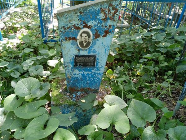 Абоносимова Татьяна Ильинична