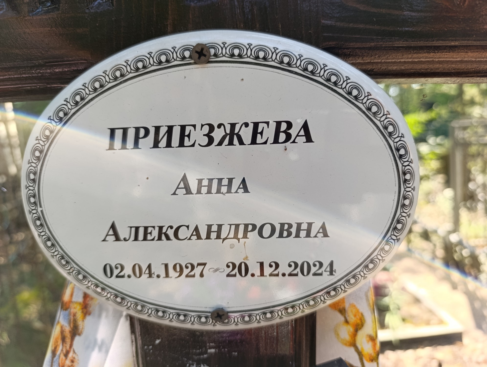 Приезжева Анна Александровна
