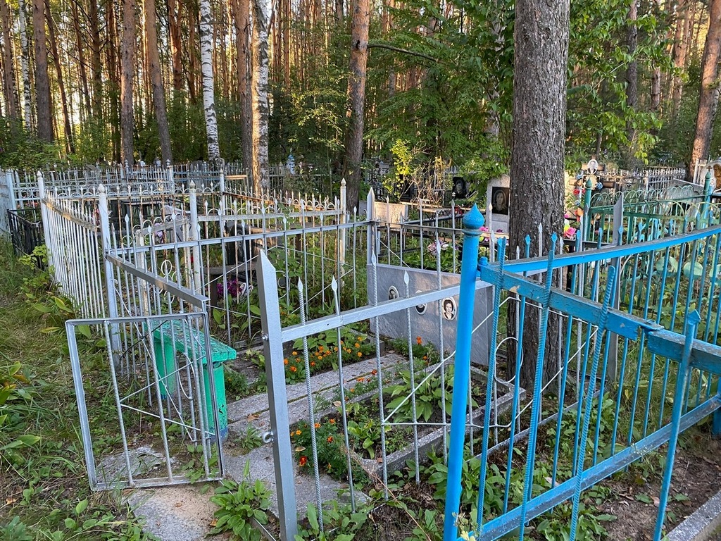 Еремин Владимир Николаевич