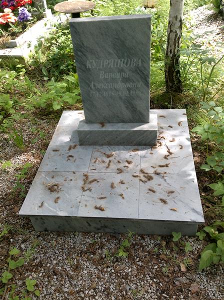 Кудрящова Варвара Александровна