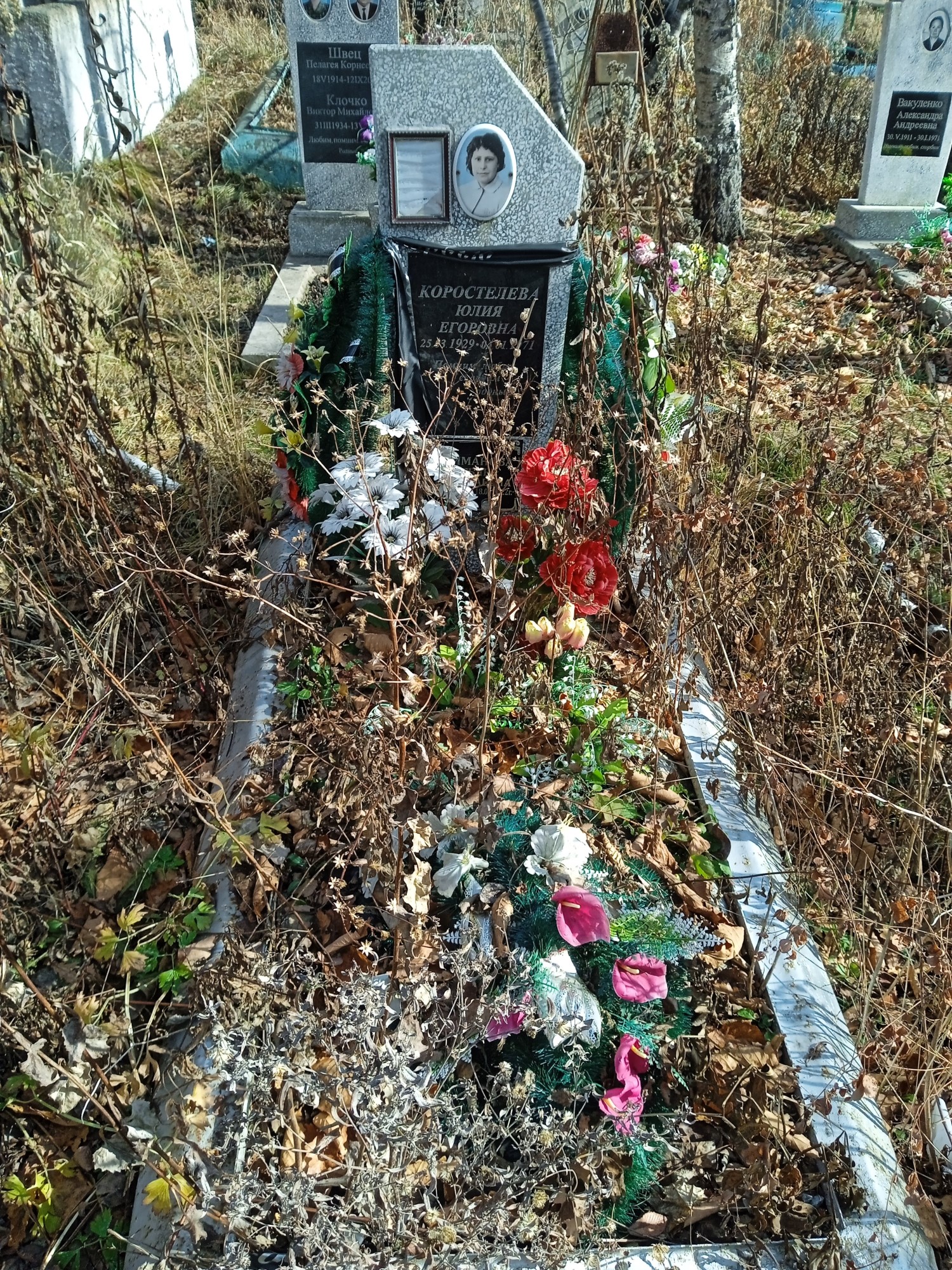 Коростелева Юлия Егоровна