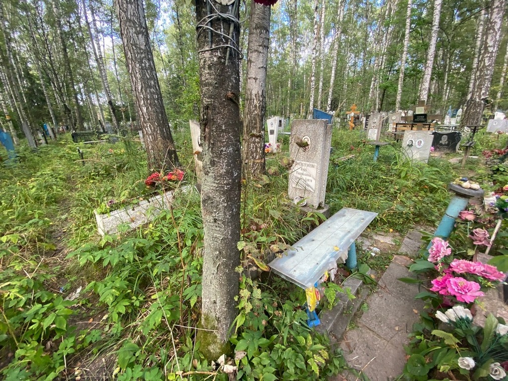 Перевезенцева Анна Гавриловна