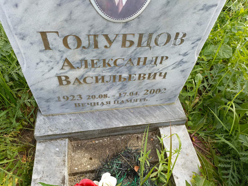 Голубцов