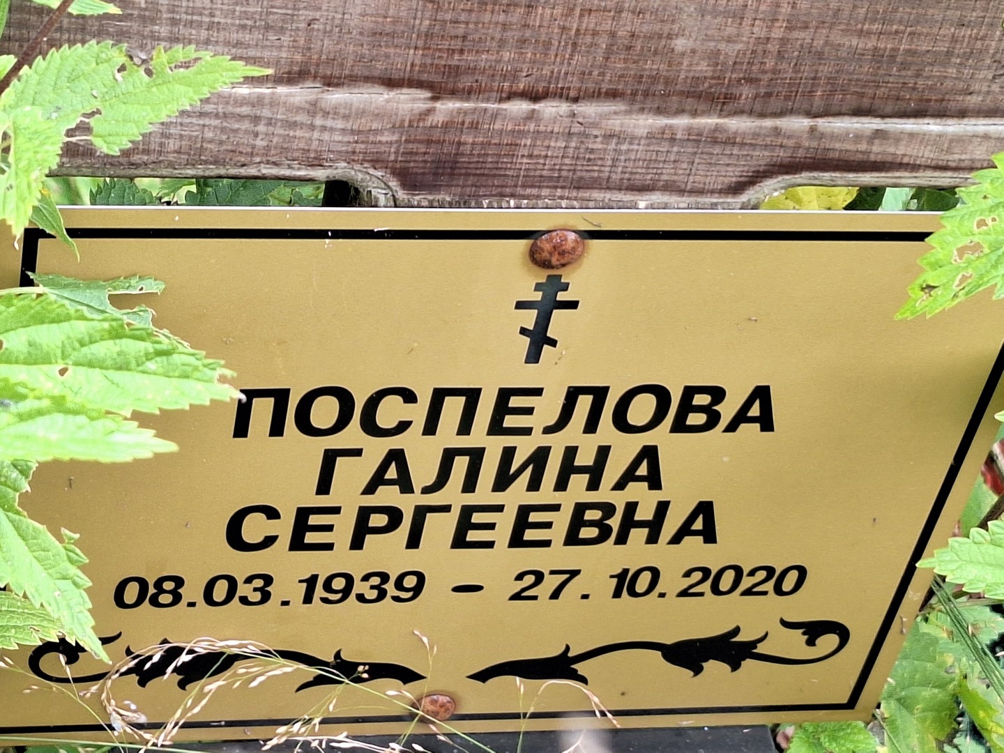 Поспелова
