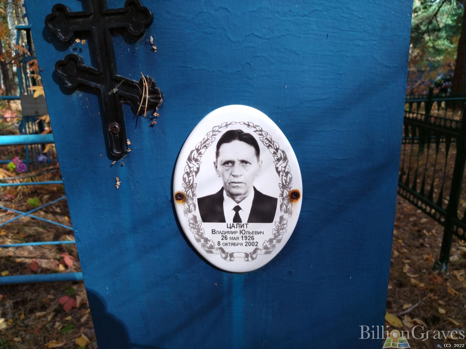 Цалит Владимир Юльевич