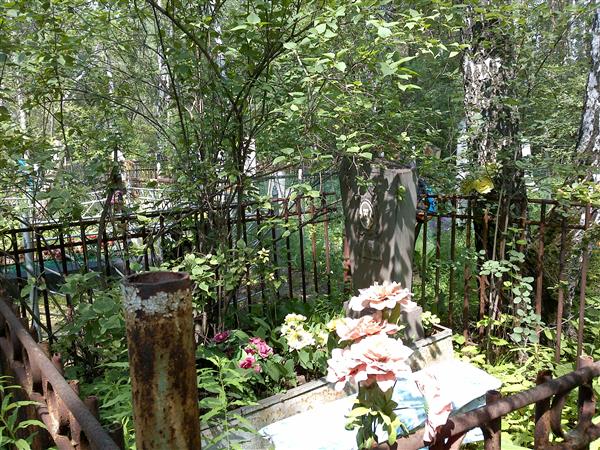 Вохмин Анатолий Зиновьевич